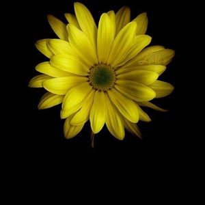 Meet your Posher, Debra